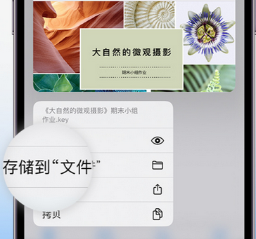 木兰apple维修中心分享iPhone文件应用中存储和找到下载文件