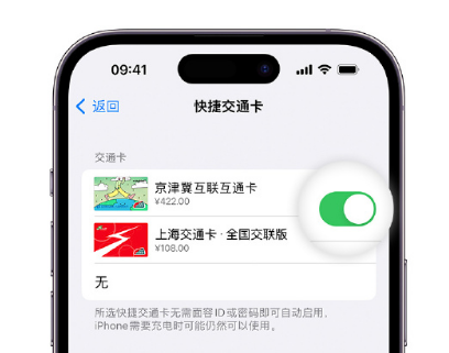 木兰apple维修点分享iPhone上更换Apple Pay快捷交通卡手绘卡面 