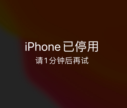 木兰苹果手机维修分享:iPhone 显示“不可用”或“已停用”怎么办？还能保留数据吗？ 