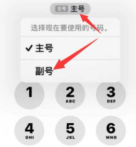 木兰苹果14维修店分享iPhone 14 Pro Max使用副卡打电话的方法 