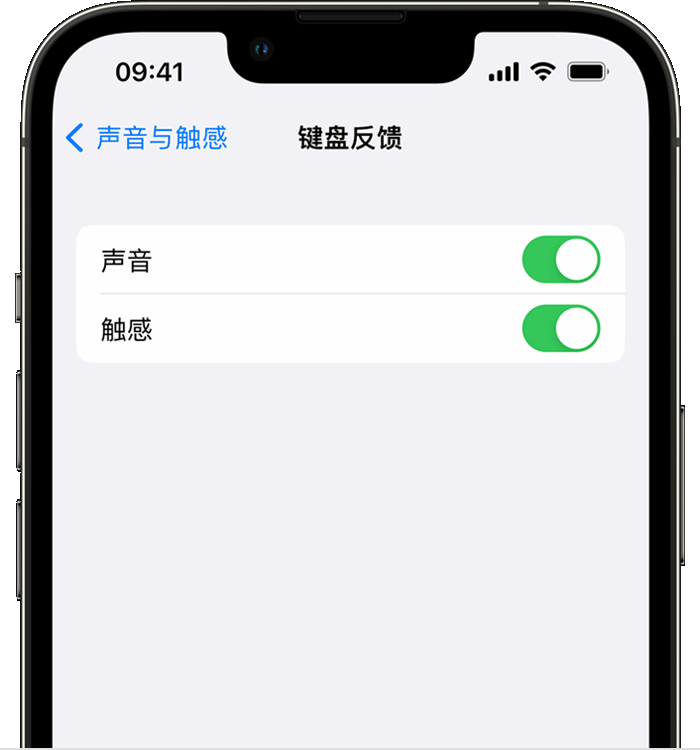 木兰苹果14维修分享iPhone 14 系列机型如何开启键盘声音或触感反馈 