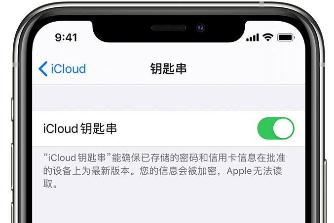 木兰苹果手机维修分享在 iPhone 上开启 iCloud 钥匙串之后会储存哪些信息 