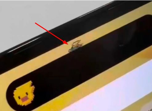木兰苹果14维修分享iPhone 14 Pro Max灵动岛怎么养宠物 