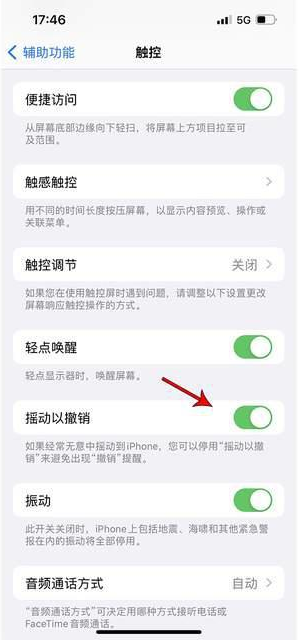 木兰苹果手机维修分享iPhone手机如何设置摇一摇删除文字 