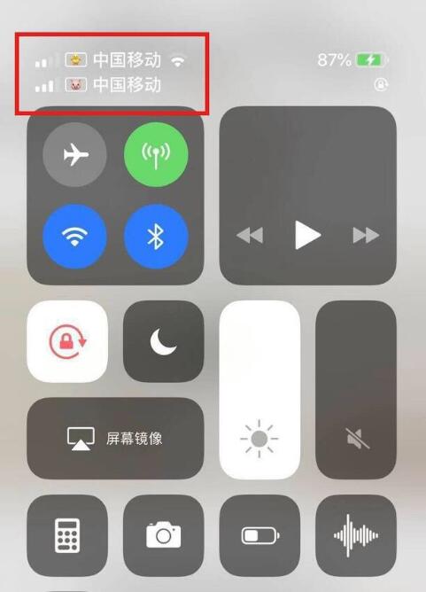 木兰苹果手机维修分享为 iPhone 12 双卡设置标签 